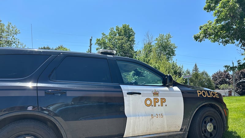 Elliot Lake man charged with punching his sister in the face