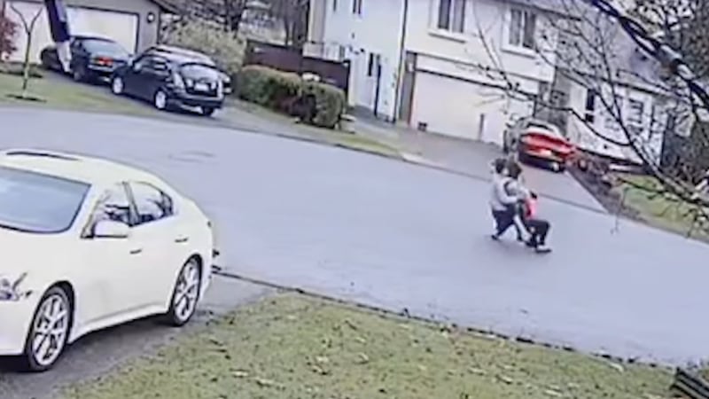 Court awards $156K in assault case linked to bizarre protest in B.C. cul-de-sac