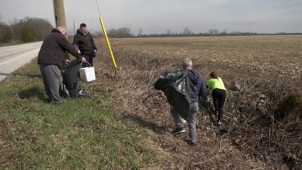 Fish guts, vapes, car parts: Colchester clean up nets 20 bags of garbage