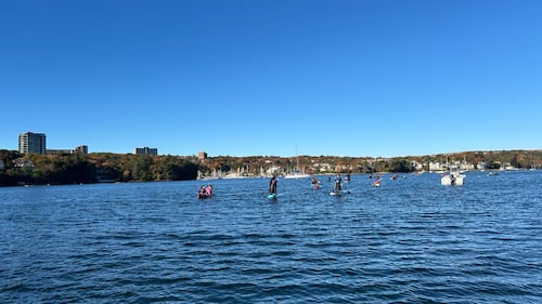 Paddlers are pictured on the water.