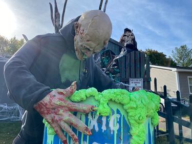Halloween decorations are seen at the Halloween Display in the Whittaker's property in West Riverview, N.B. (CTV/Derek Haggett)