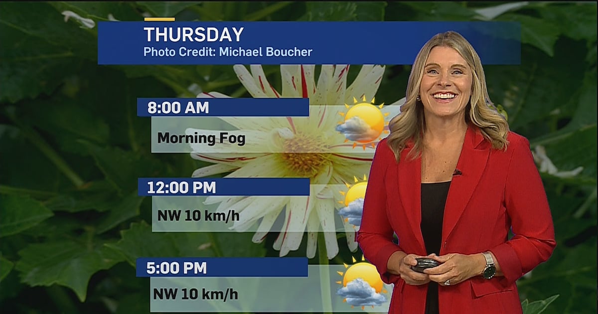 Sunny stretch ahead for southwestern Ontario