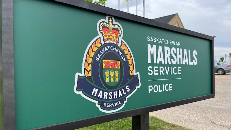 Man wanted on outstanding warrant tried to escape police by climbing tree