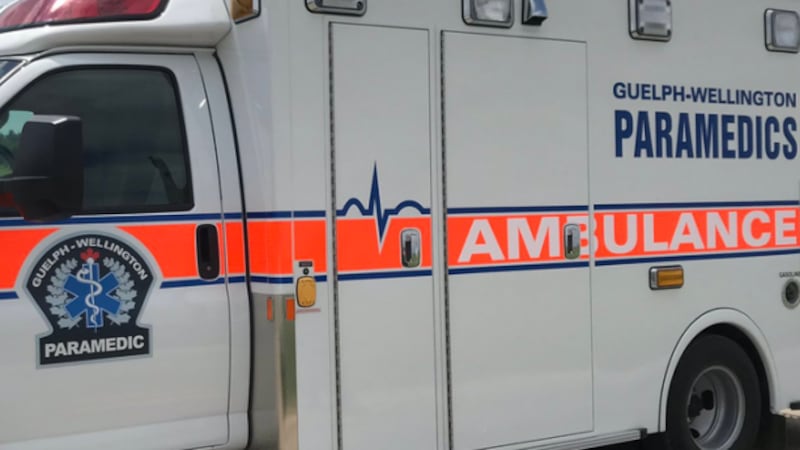 Approximately 12 youths involved in Guelph fight