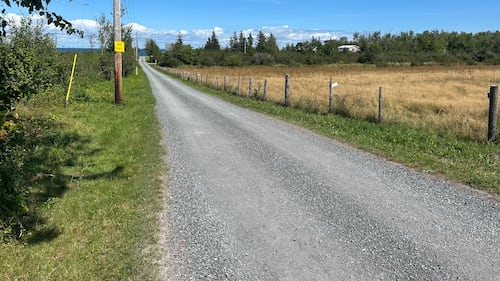 State of Canadian cottage real estate analyzed as buyers navigate shifting market