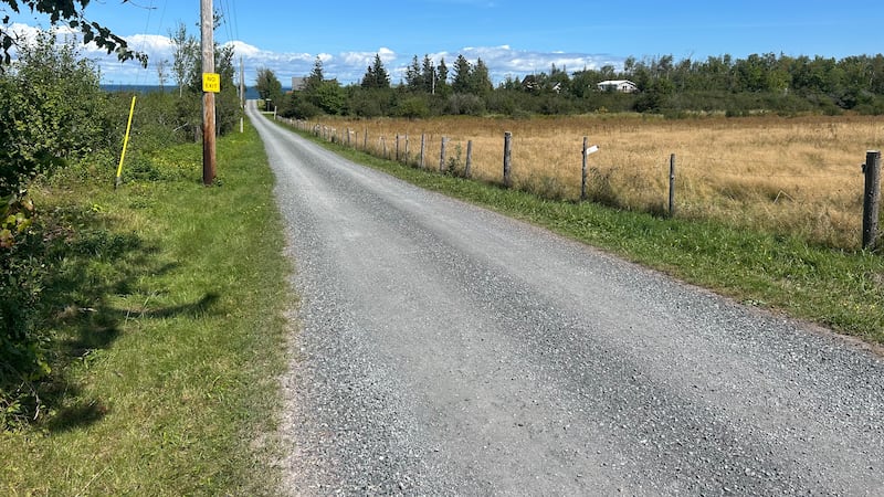 State of Canadian cottage real estate analyzed as buyers navigate shifting market
