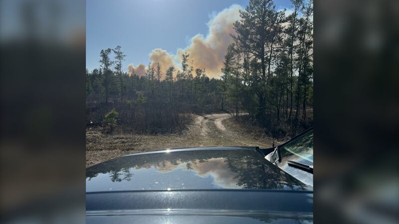 Traverse Ridge Fire Traverse Bay residents allowed to return home after grass fire sparked ...