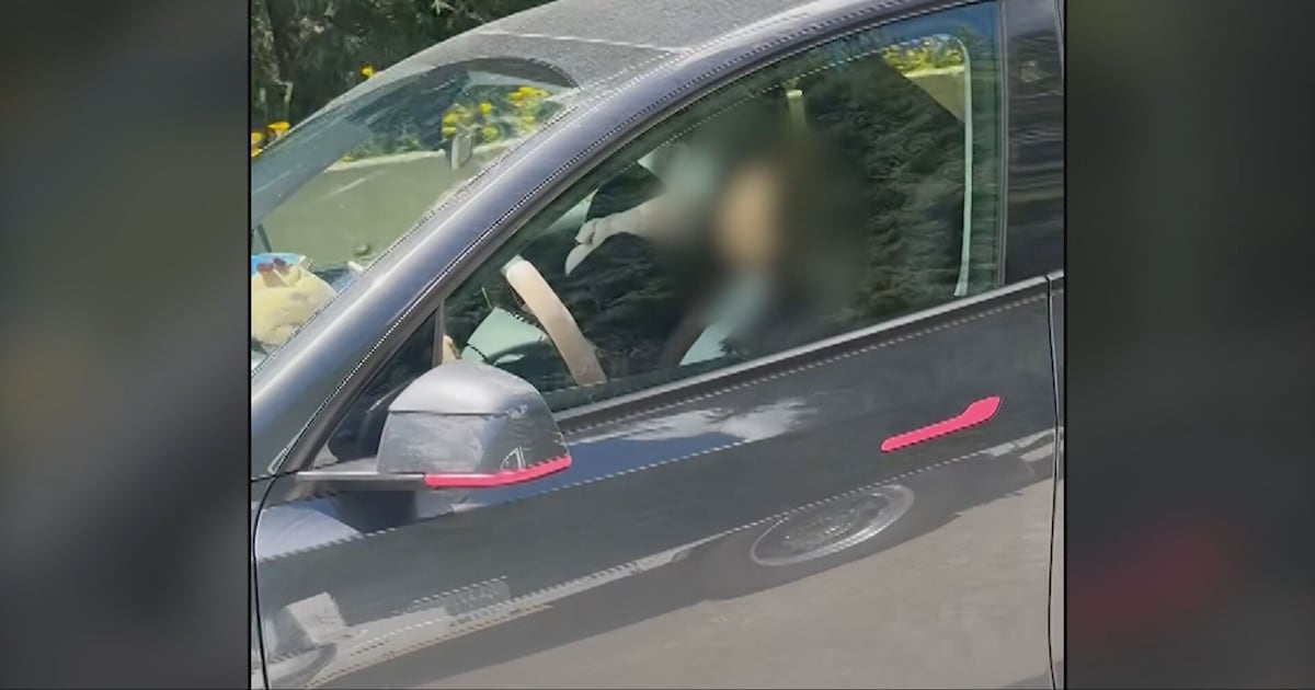 Video of Tesla driver seemingly asleep on B.C. highway prompts RCMP investigation