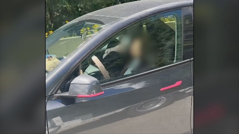 Video of Tesla driver seemingly asleep on B.C. highway prompts RCMP investigation