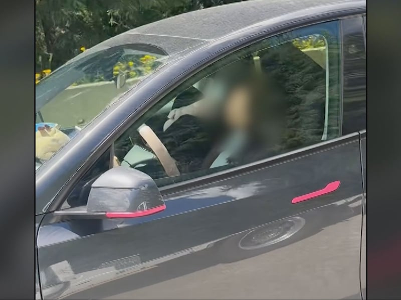 Video of Tesla driver seemingly asleep on highway prompts police investigation