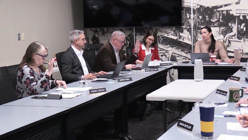 ‘An expensive I told you so’: Former LTC chair on $133K consultant’s review