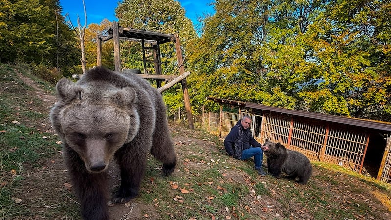 A Bosnian man rescued an abandoned bear cub. Now they're inseparable