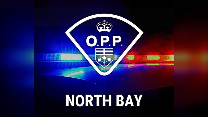 OPP say two men and a business charged after Hwy. 11 stop