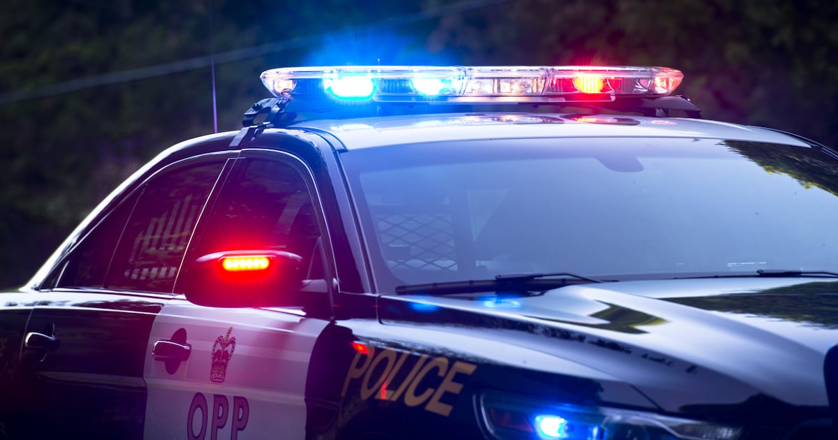 Port Dover standoff ends with dozens of charges for one person