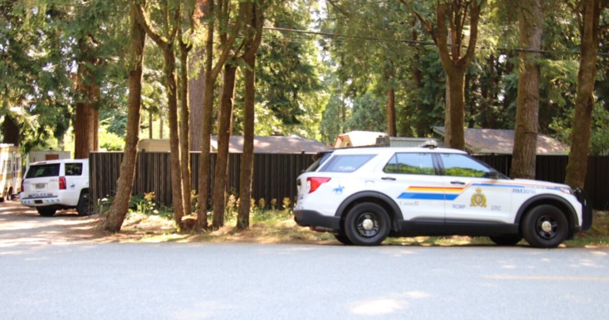 Maple Ridge Police 'Multiple arrests,' large police presence after shots fired in Maple ...