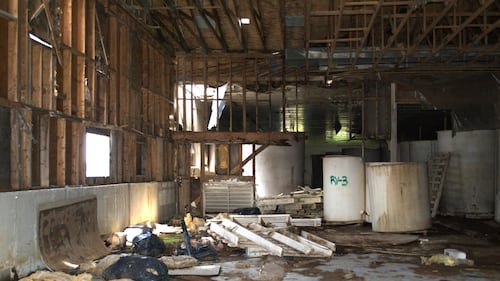 Cleanup of stinking fish sauce factory in Newfoundland will cost $1.74 million