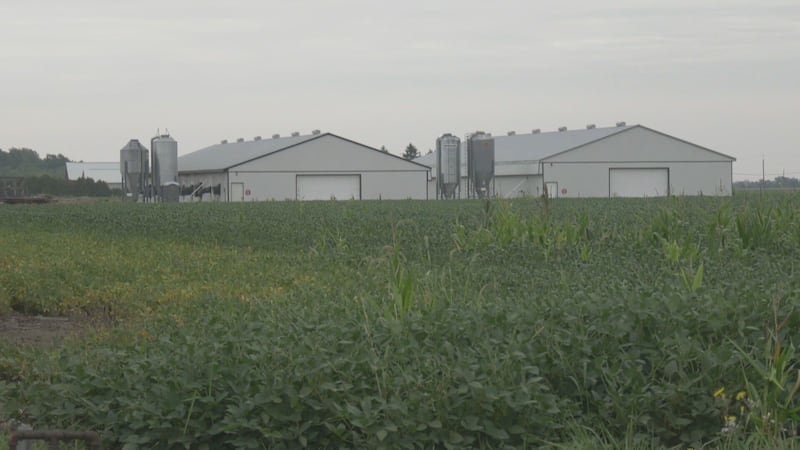 Warmer, drier fall forecast for Windsor-Essex could benefit farmers, tourism: experts