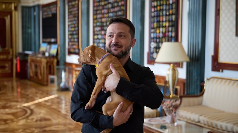Ukraine's president coos over a puppy, starting a new volley in his war of visuals against Russia