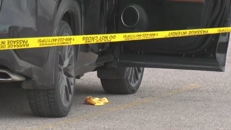 Calgary man charged with attempted murder in CrossIron Mills stabbing