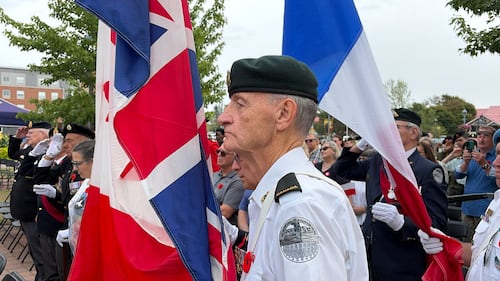 A military member is pictured holding a flag.