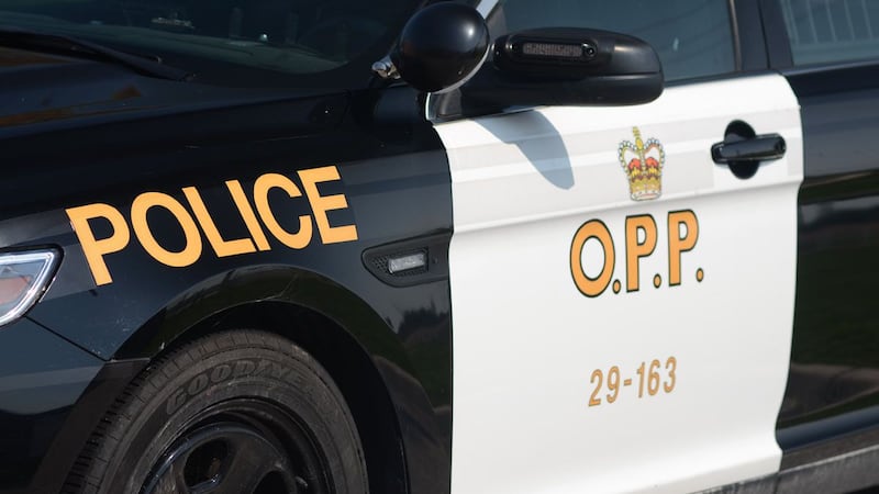 Unsecured firearm found in vehicle leads to charges against three men: OPP