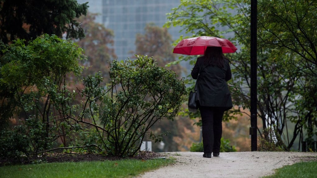 Special weather statement remains in effect for Toronto, GTA
