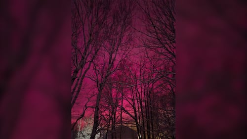 The Northern Lights are pictured in Cardigan, P.E.I., on Jan. 19, 2026. (Courtesy: Sydney Roberts)