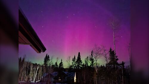 The Northern Lights are pictured in Drummond, N.B., on Jan. 19, 2026. (Courtesy: Pauline Thomas)