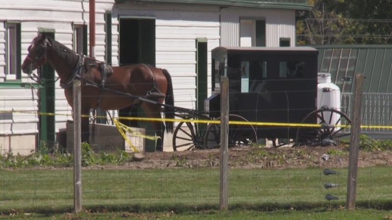 Father who killed one-year-old son with an axe could soon return to Mennonite community