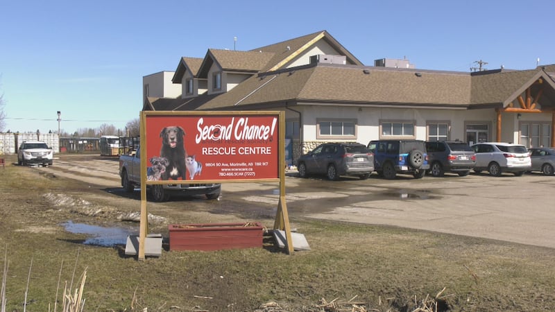 ‘Devastating’: Alberta animal rescue closes intake due to financial issues
