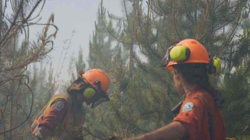 Out-of-control wildfire burning on Vancouver Island raises alarm
