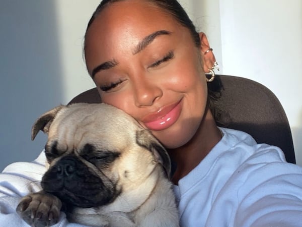 Love Island Quebec contestant’s pug stolen but quickly returned, man arrested
