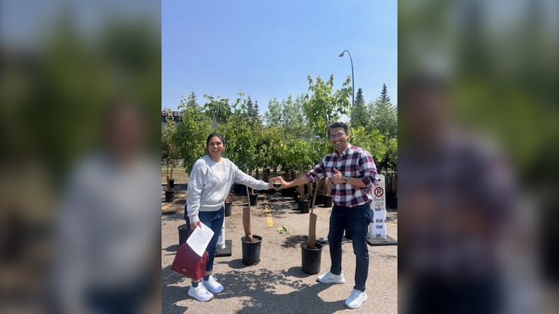 City of Calgary puts finishing touches on program to grow its tree canopy by 10,000 in 2026
