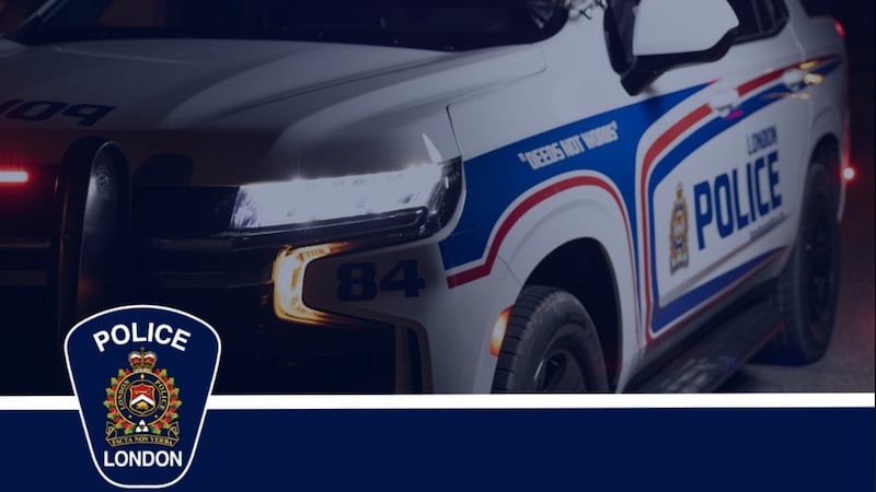 Suspect in custody after weekend stabbing in north London home