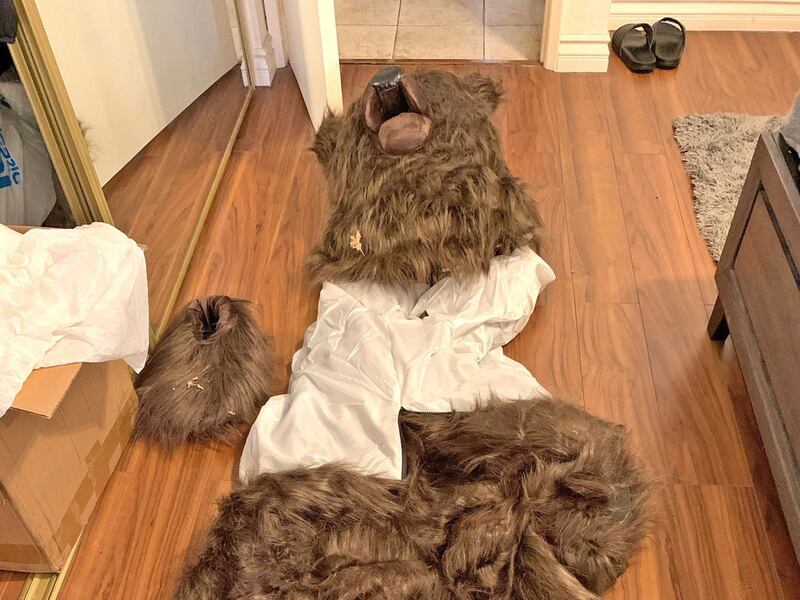 Bear-suit luxury car scam ends in insurance fraud sentences for 3