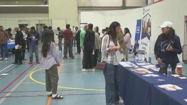 Calgary Economic Development sets target of 2,000 work placements for those aged 18-24