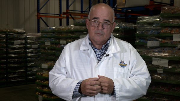N.B. Business warns it’ll lose skilled workers following changes to immigration policy