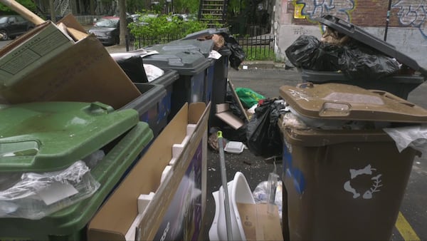 Garbage collection in Montreal’s Hochelaga-Maisonneuve causing rat problems