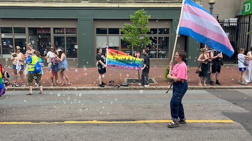 Hundreds of people lines Main Street in Moncton on Saturday for the annual Pride parade. (CTV/Derek Haggett)