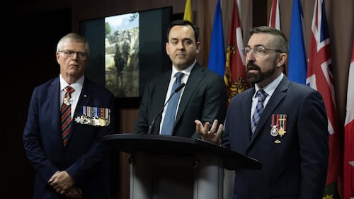 Vets, MPs call on feds to launch honour review board to award Canadian Victoria Cross