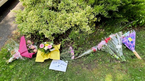 Boy who killed elderly woman in Pickering, Ont., apologizes during sentencing hearing