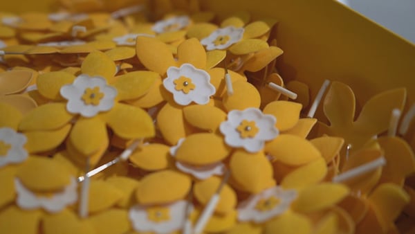 Canadian Cancer Society’s Daffodil Month helps cancer patients, families