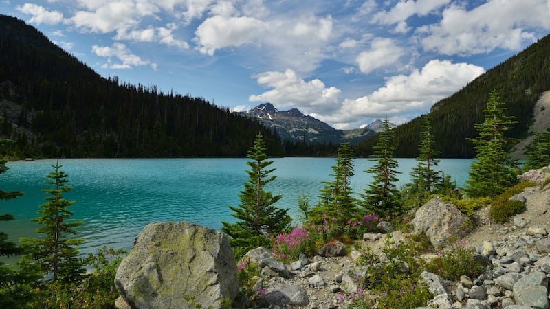 Here’s when you’ll need day-use passes for 3 popular B.C. parks