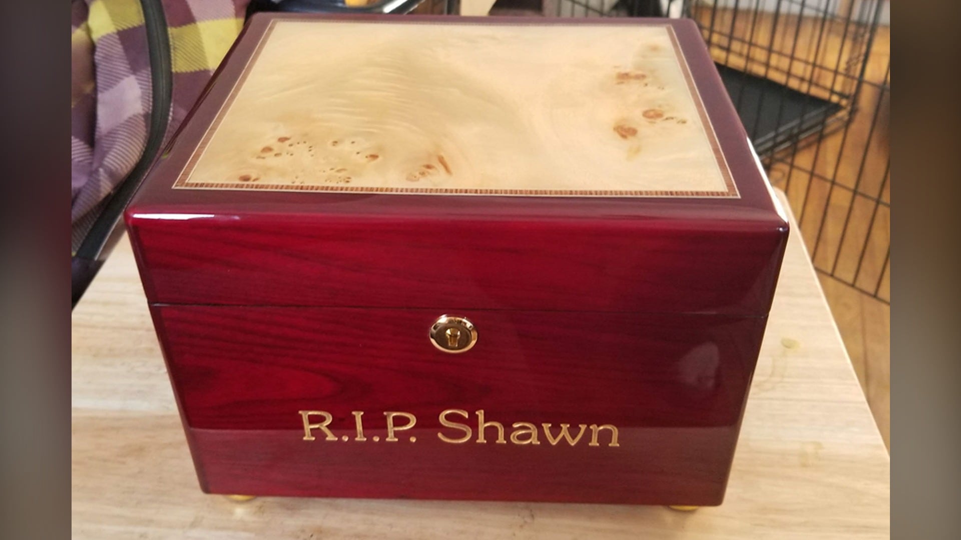 Kitchener man looking for stolen box full of friend’s ashes