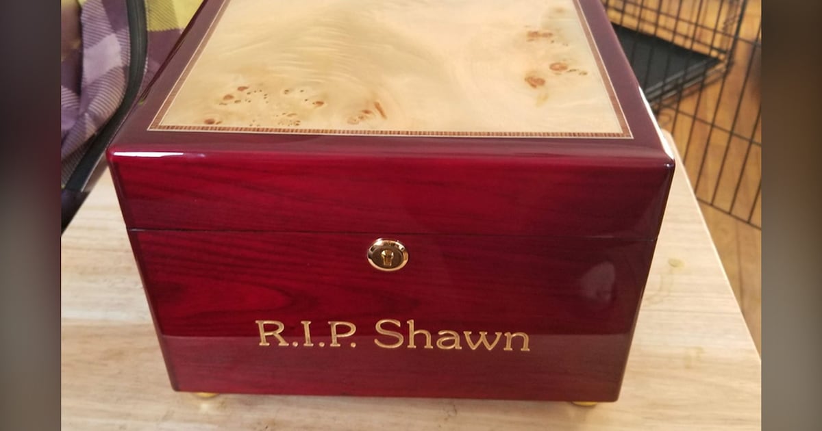 Kitchener man looking for stolen box full of friend's ashes
