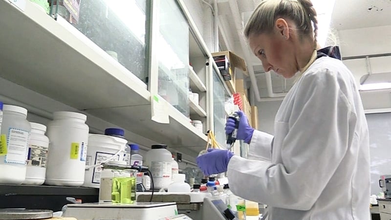 Windsor-Essex part of major cancer research investment
