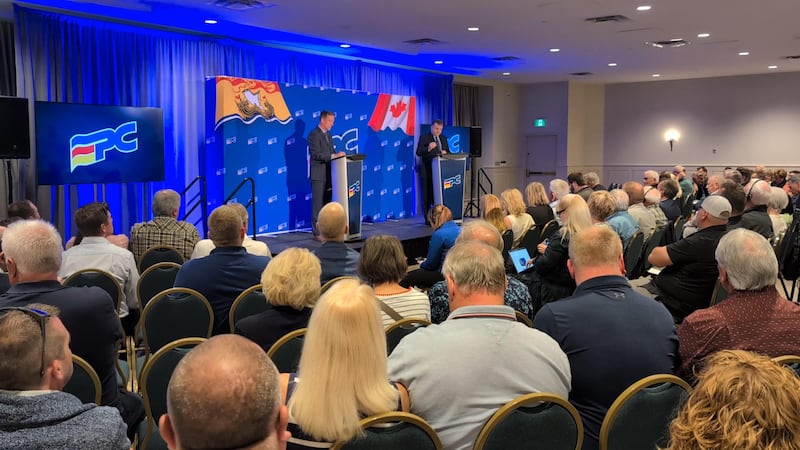 Division amongst N.B. Progressive Conservatives a challenge, say two leadership contenders
