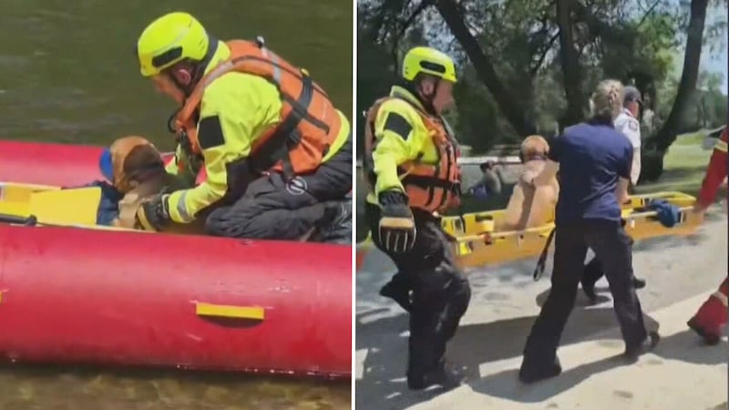 Dog falls off 60-foot cliff at the Elora Gorge