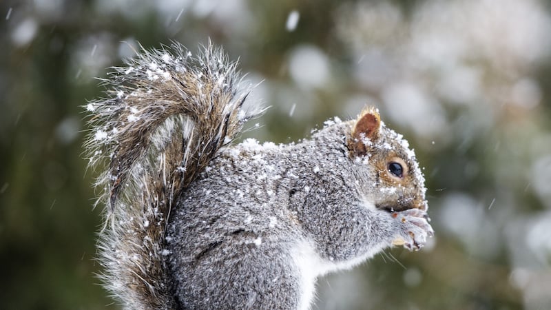 Old Man Winter visits Saskatchewan