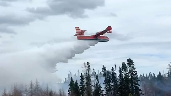 ‘Out of control’ wildfire hits areas of N.L., evacuation orders in some parts of Edmonton